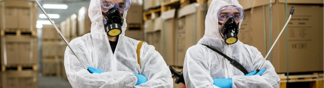 Beneficios de uma dedetização 24 HORAS